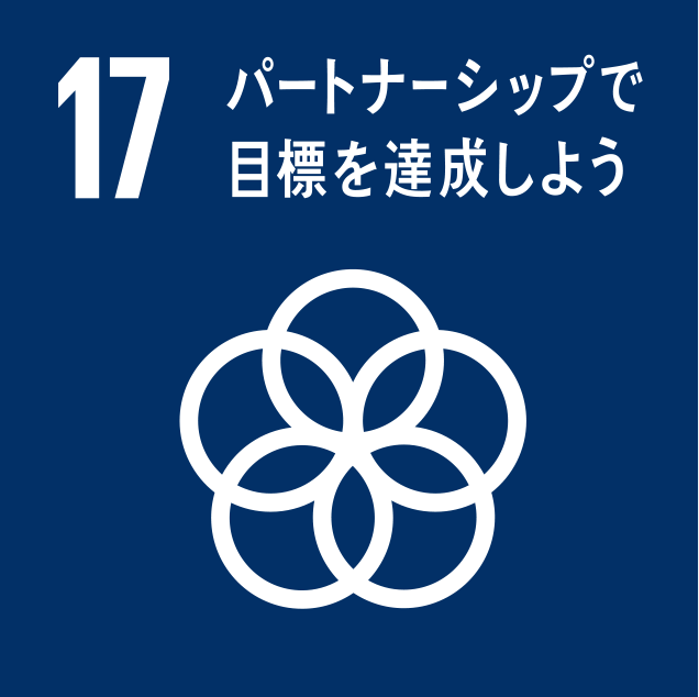 sdg_logo_17