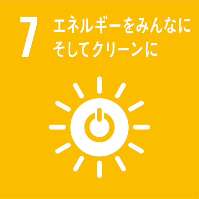 sdg_logo_7