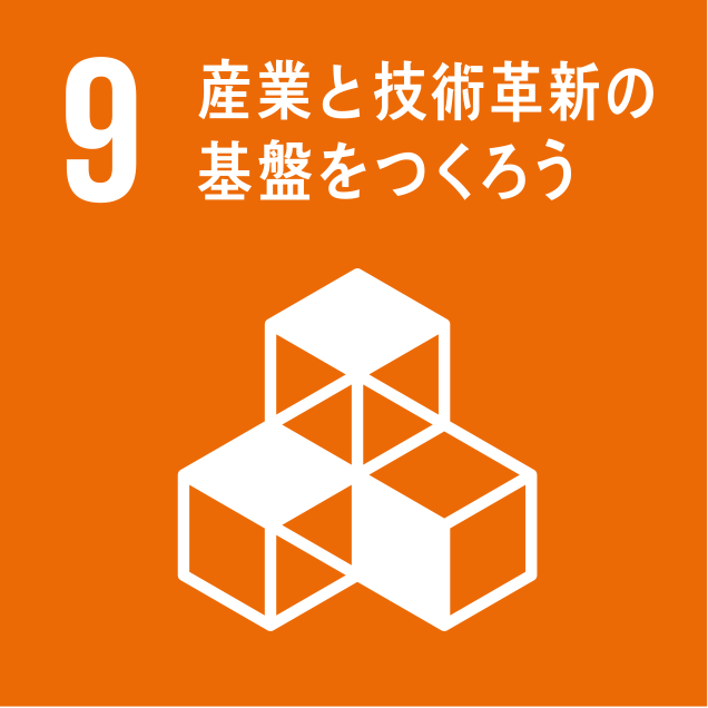 sdg_logo_9