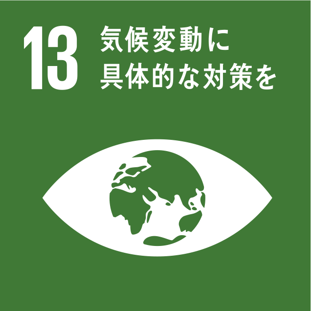 sdg_logo_13