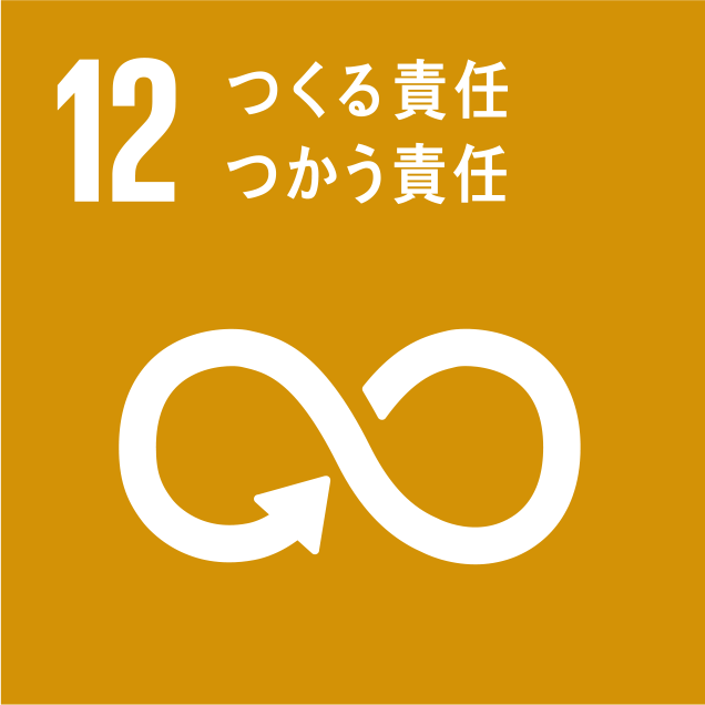 sdg_logo_12