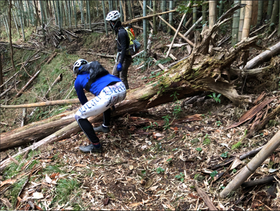 ①里山整備活動_2（修復）