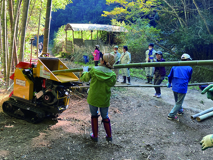 竹部(バンブ)写真