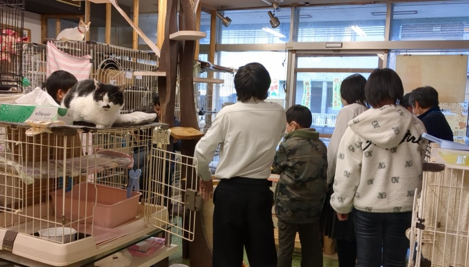 画像1